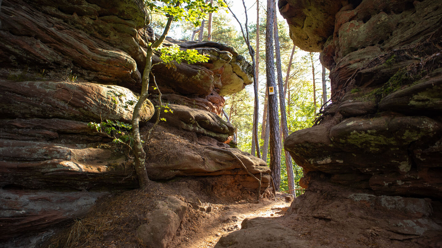 der Wanderweg führt durch eine Felsspalte am Rosskegelfelsen