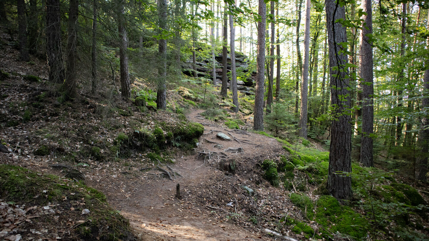 Wanderweg beim Schlangenfels