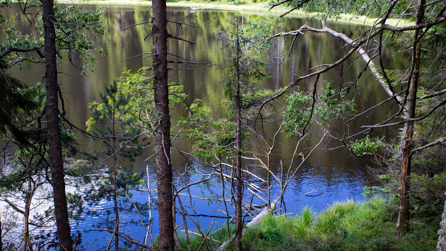 Blick auf den Wildsee vom Wanderweg Wildsee-Wegele