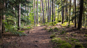 Wanderung auf der Kauert-Tour