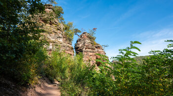 Blick auf die Sandsteinformationen der Schillerfelsen vom Wanderweg