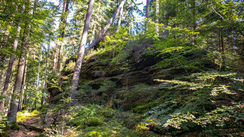 bewaldete Felsen beim Kühwoog auf der Kauert-Tour