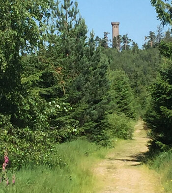 der Friedrichsturm an der Badener Höhe