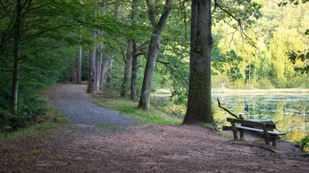 Wanderweg entlang des Lieschbacher Weier