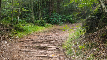 Wanderweg Richtung Falkenstein