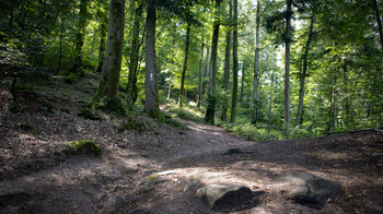 idyllischer Wanderpfad zur Burg Falkenstein