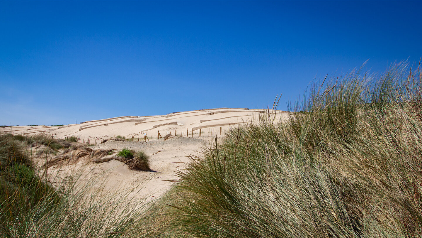 Düne von Punta Paloma