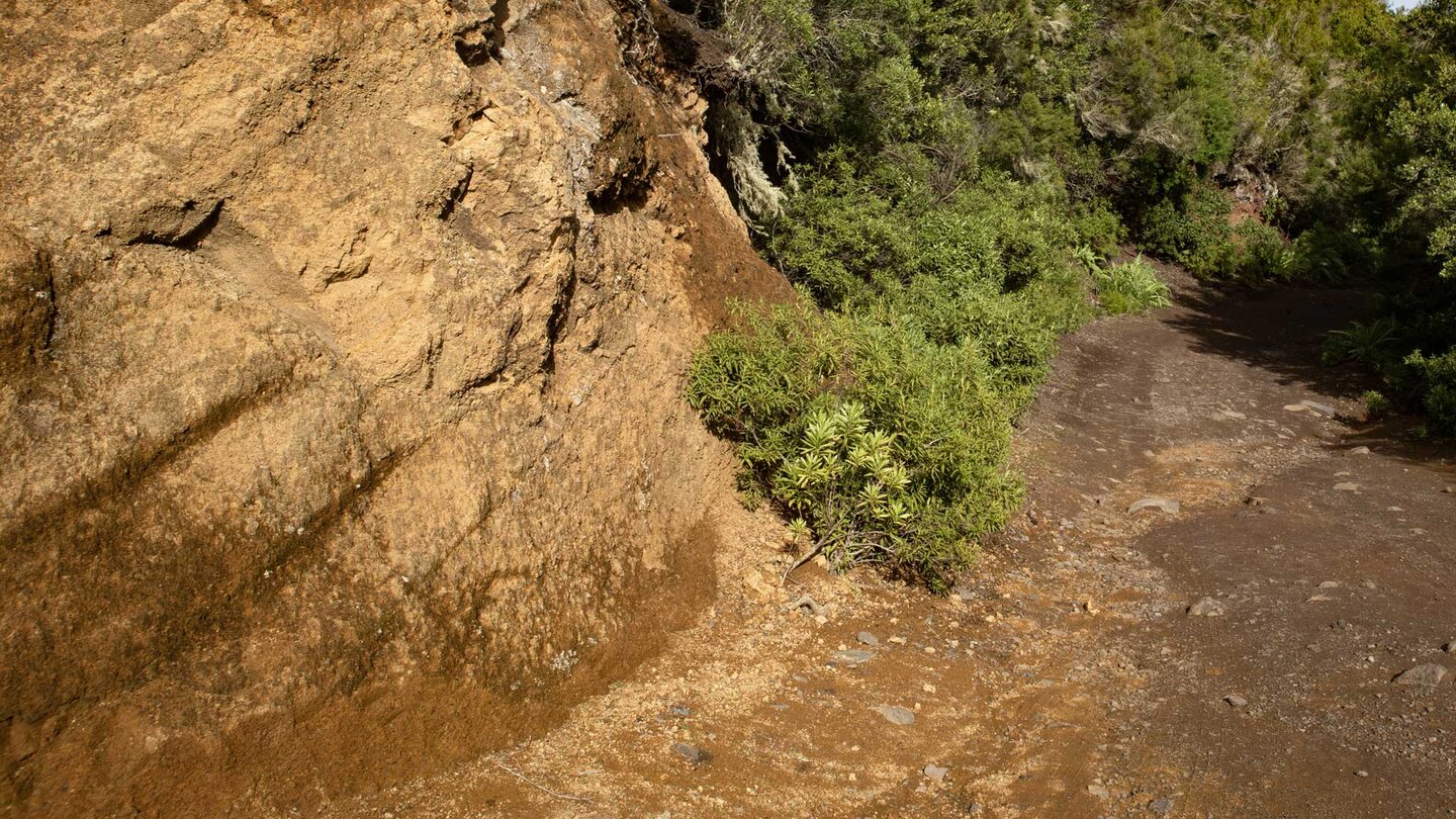 Wanderung entlang des PR TF-52 auf der Pista Monte del Agua