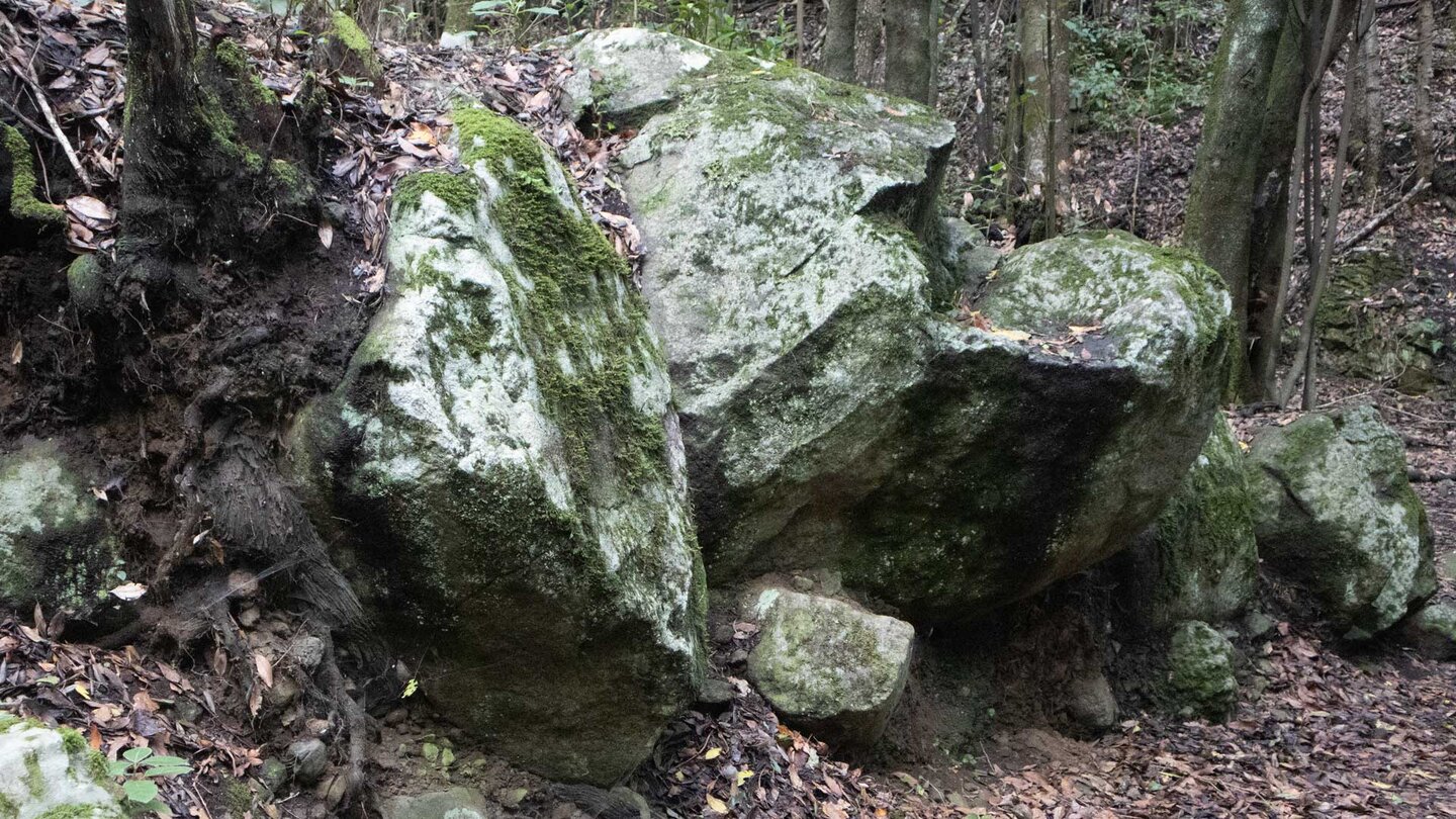 bemooste Steine am Wanderweg