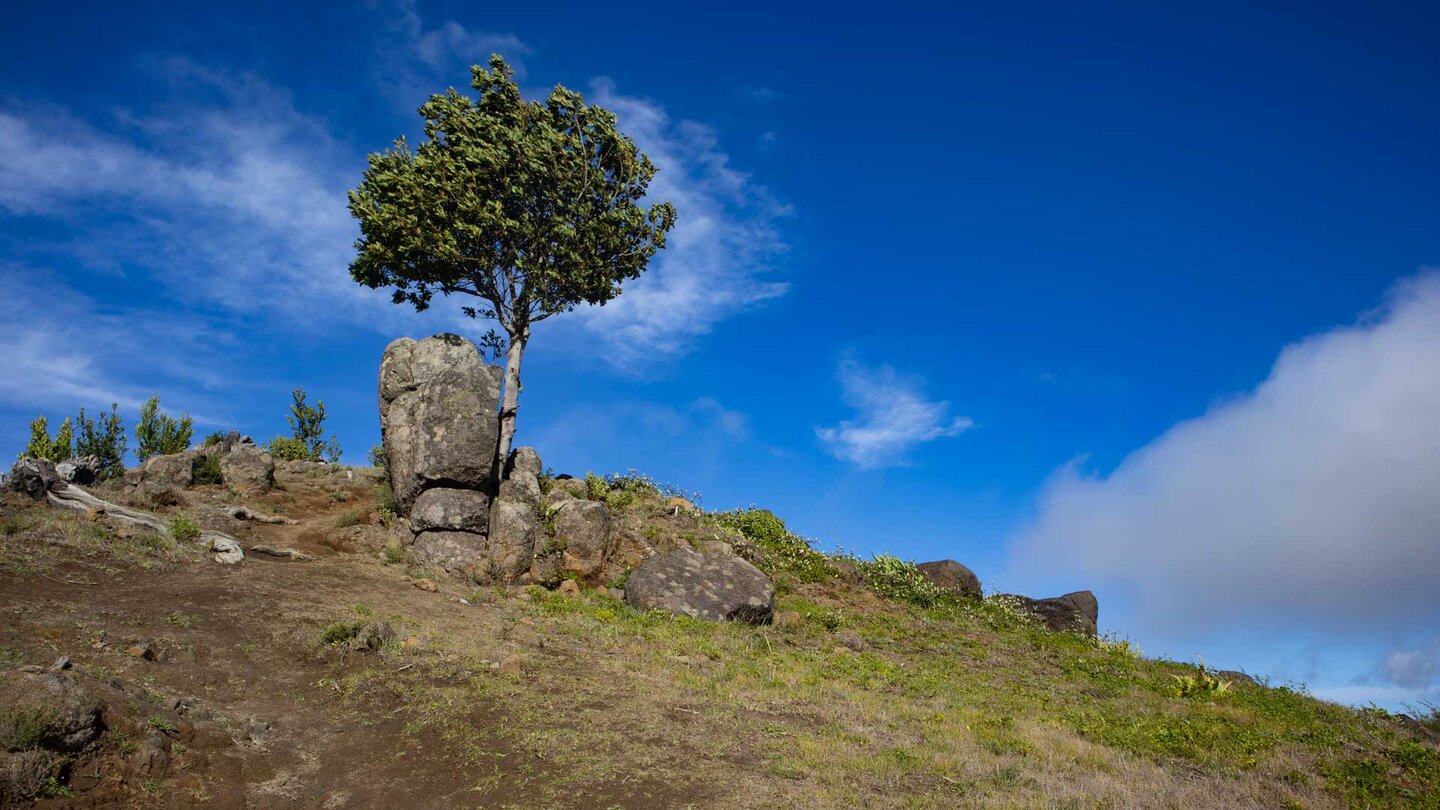 Gipfelkuppe entlang des Höhenrückens bei Erjos