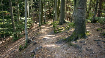 die Wanderroute zum Zigeunerfels