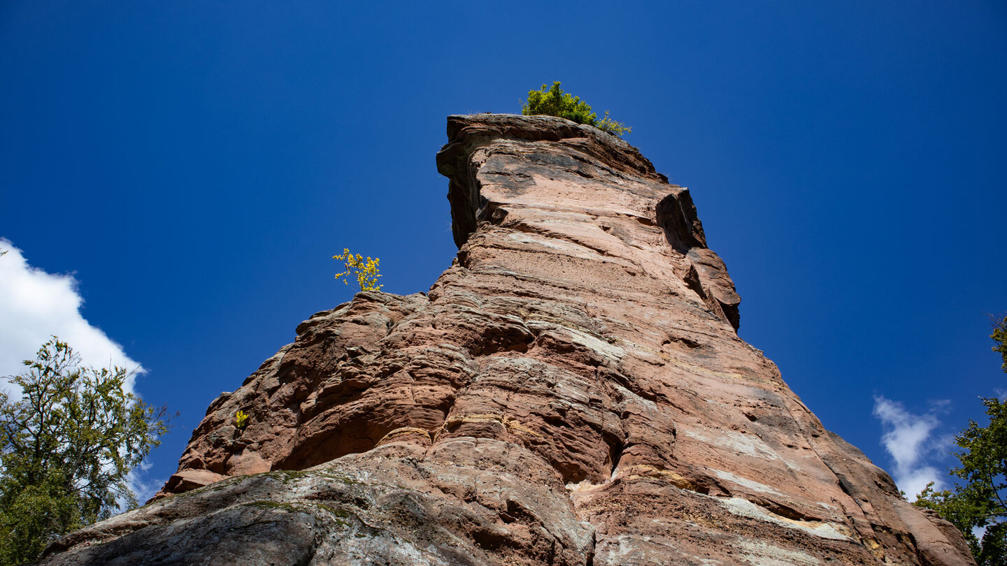 steil abfallende Klippe am Buntsandsteinfelsen der Froensburg