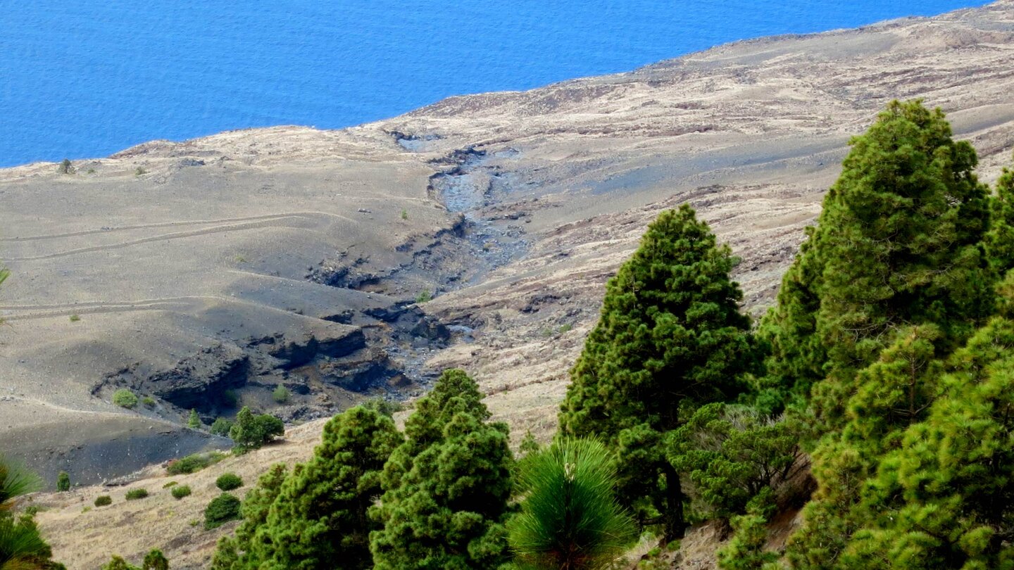 die bewaldeten Hänge in El Julan weichen zur Küste hin einer Graslandschaft