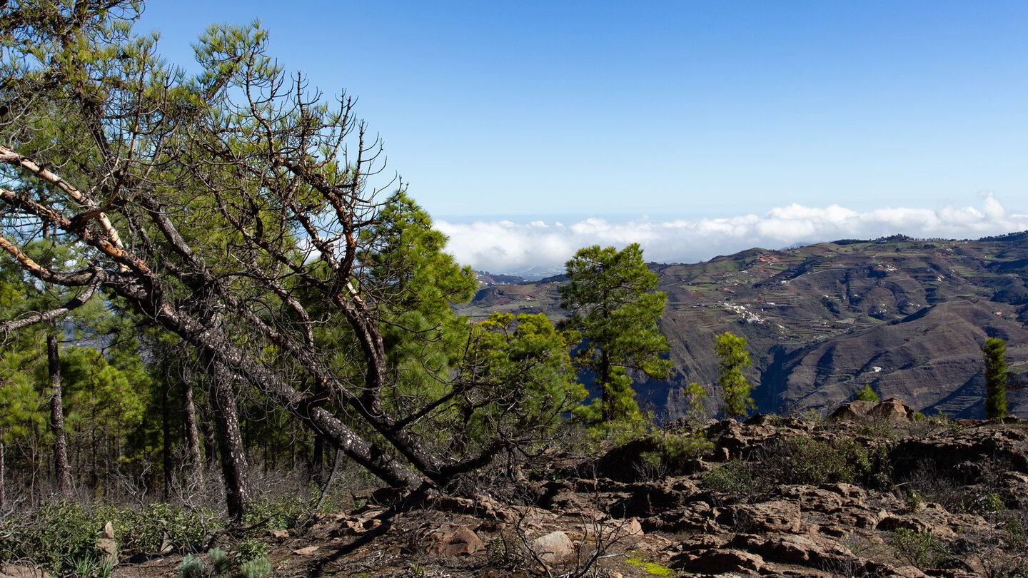 Ausblick entlang der Wanderung auf dem Tamadaba-Plateau