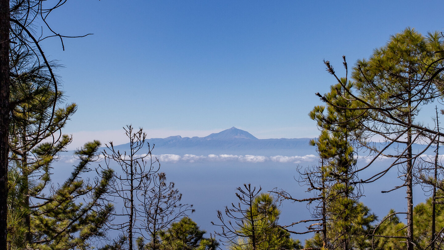 Ausblick auf Teneriffa vom Naturpark Tamadaba