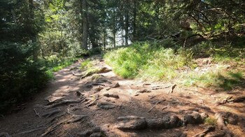 Wanderroute zwischen Lac Blanc und Lac Noir