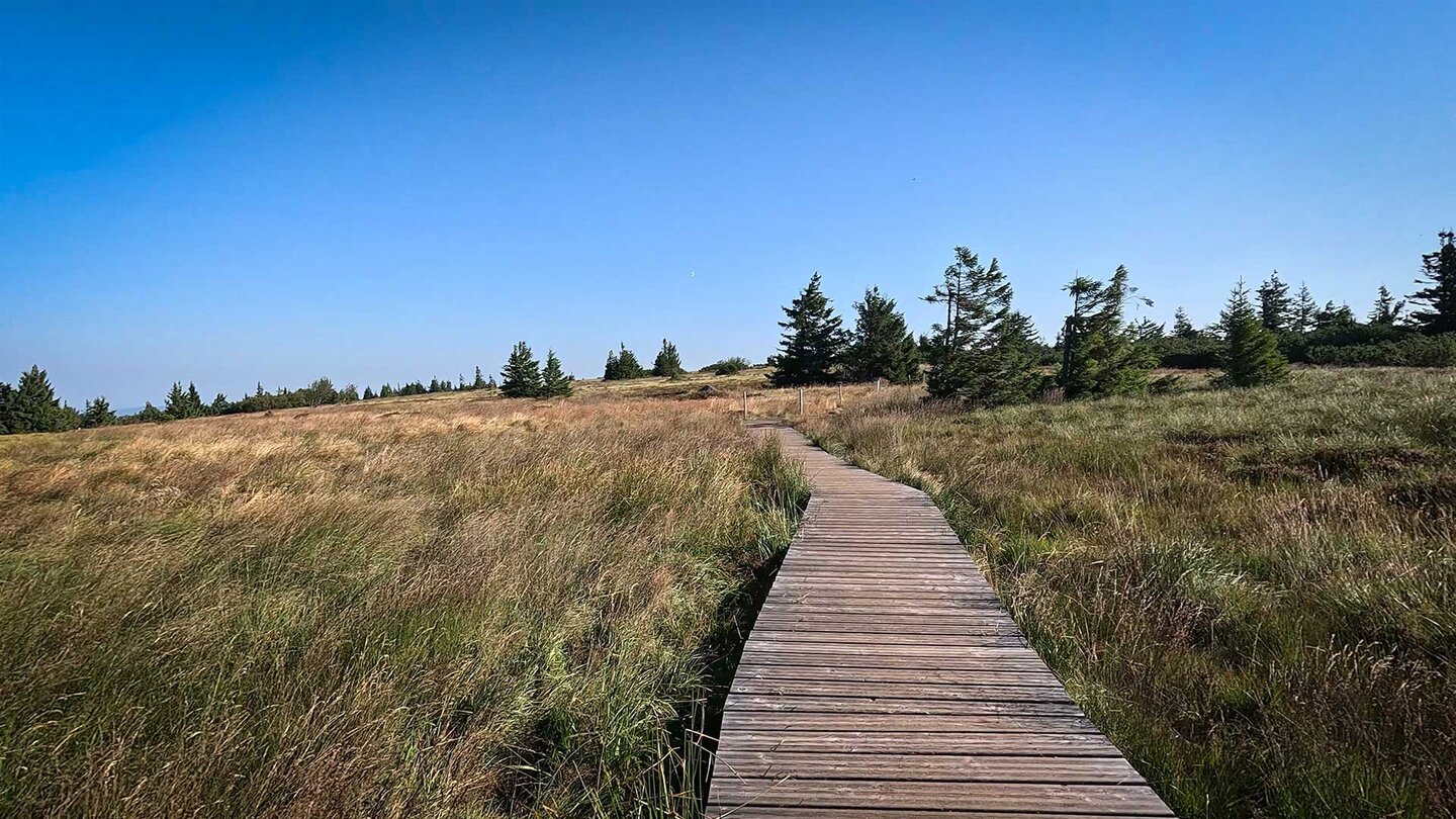 Holzbolenweg am Gazon du Faing