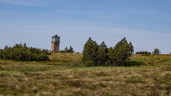 Hornisgrindeturm am südlichen Moorende