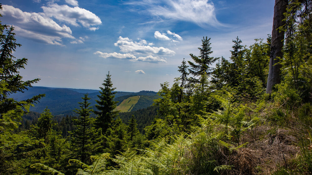 Blick vom Wanderweg Seensteig in der Nähe der Hornisgrinde