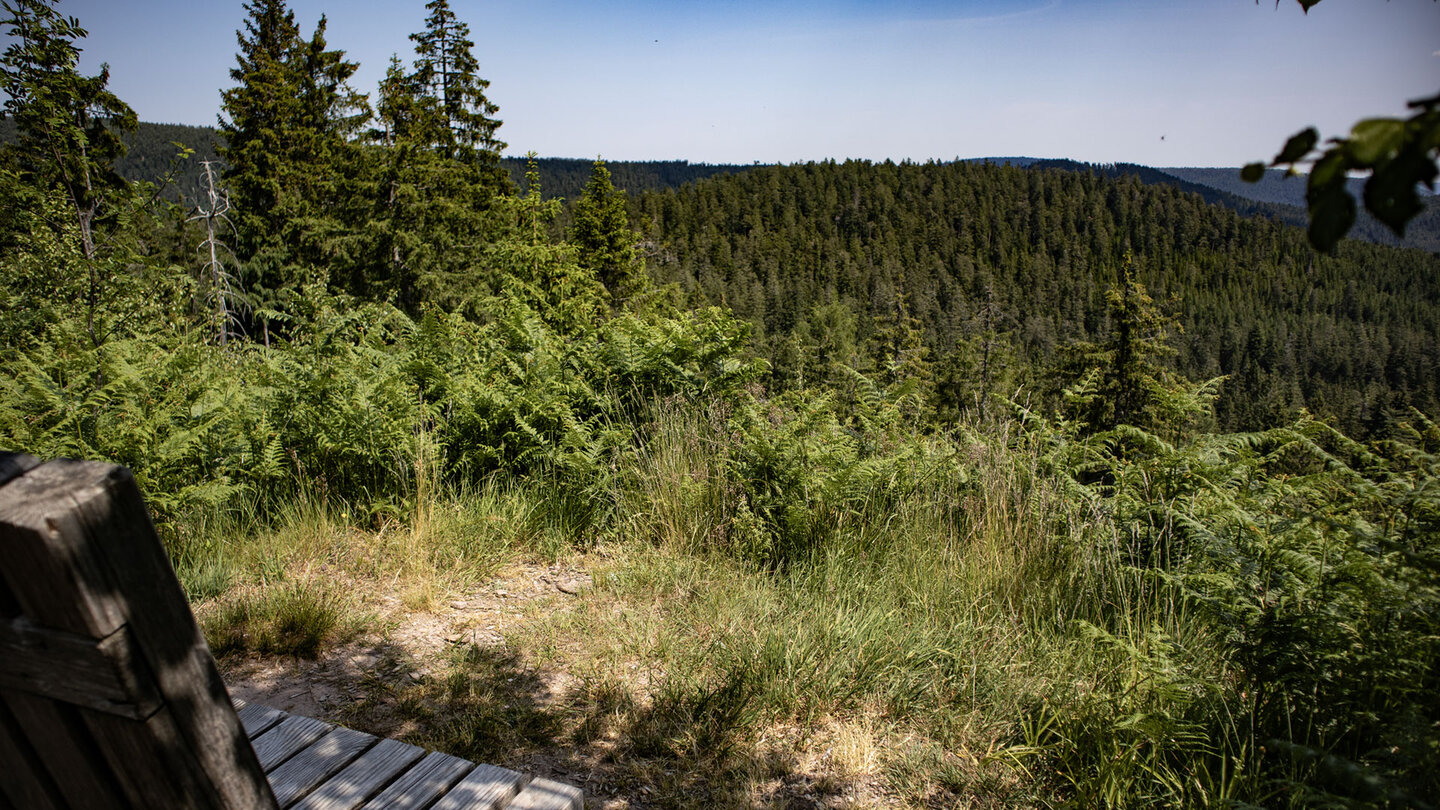 Ausblick auf Biberkessel vom Seensteig