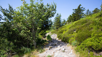 Auf dem Wanderweg zur Kleinen Grinde