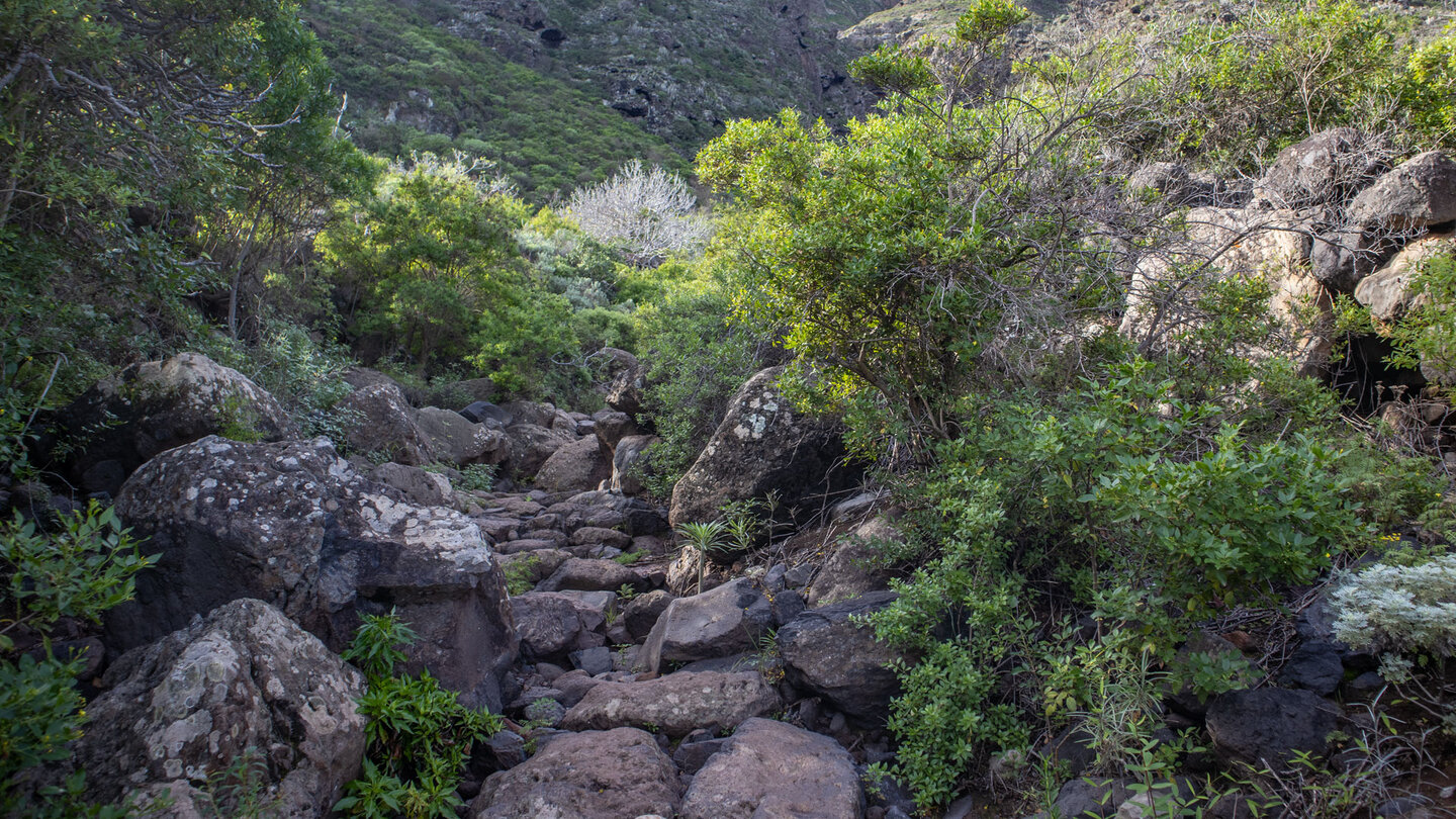 Wanderung durch die Schlucht Barranco del Aderno am Beginn des Camino del Risco