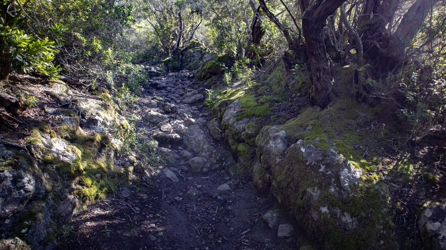 Abwanderung über den Camino Real nach Las Portelas