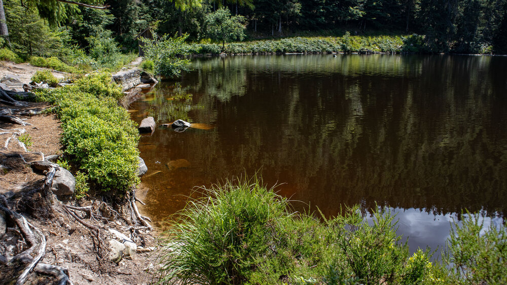 Spiegelung im Glaswaldsee im Schwarzwald