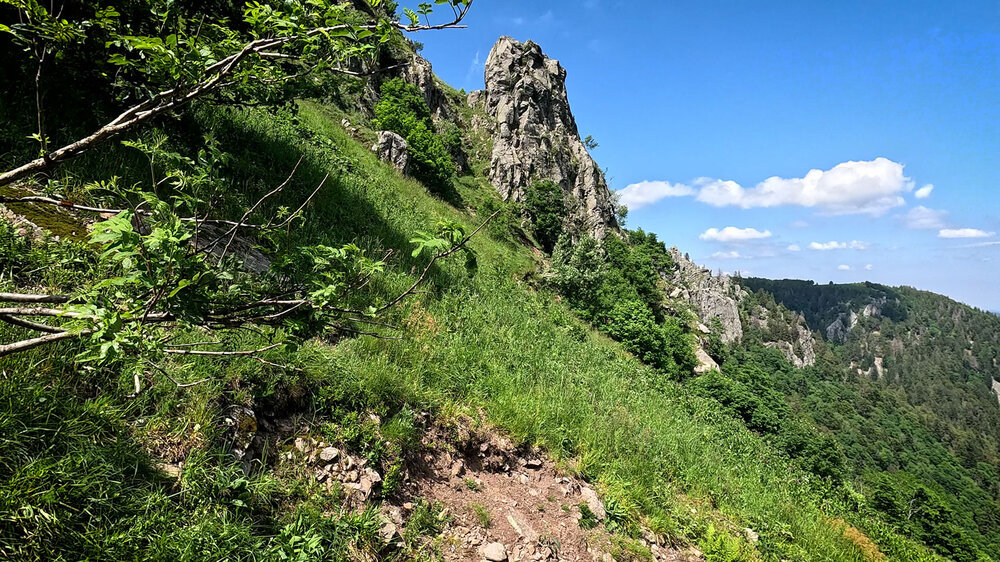 Abstieg am Bergpfad Sentier du Falimont