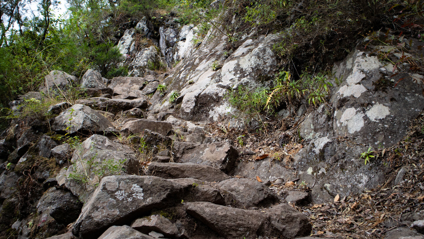 felsiger Abstieg zum Wasserfall El Chorro de Cedro