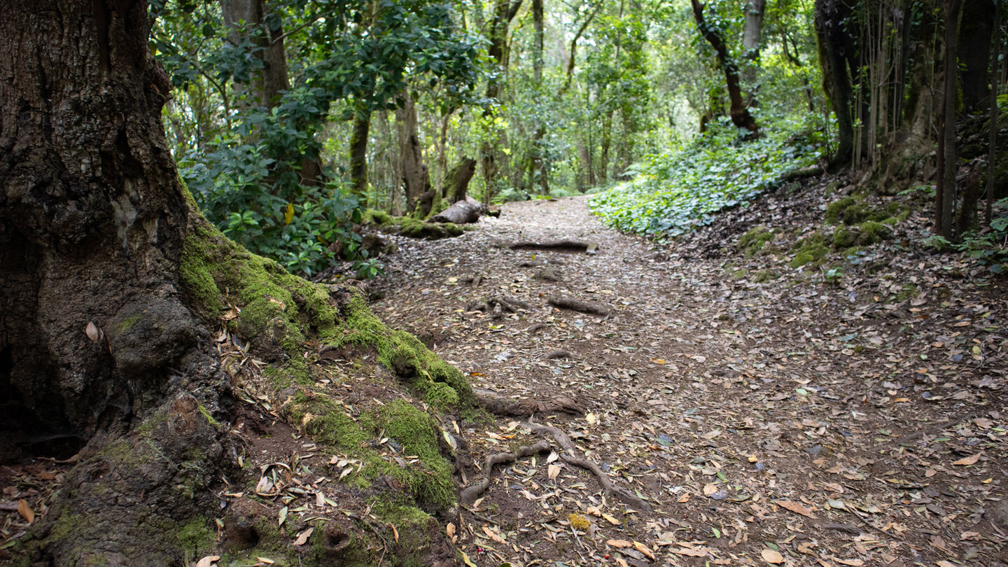 die Wanderroute Ermita de Lourdes entlang der Ruta 2