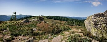 auf dem Gipfel des Le Tanet