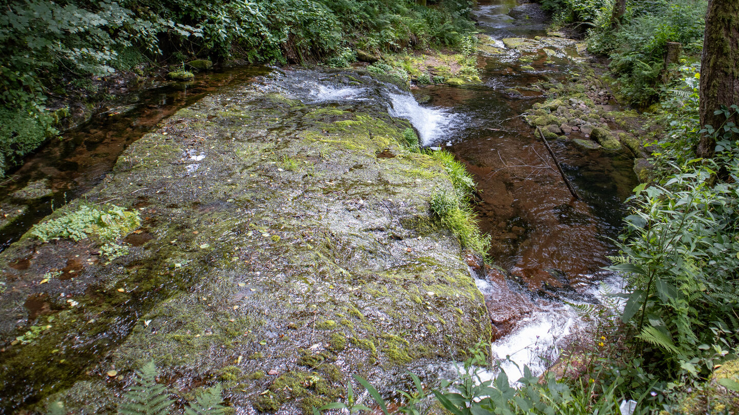 der Wanderweg führt entlang des sprudelnden Bachlaufs des Tonbach