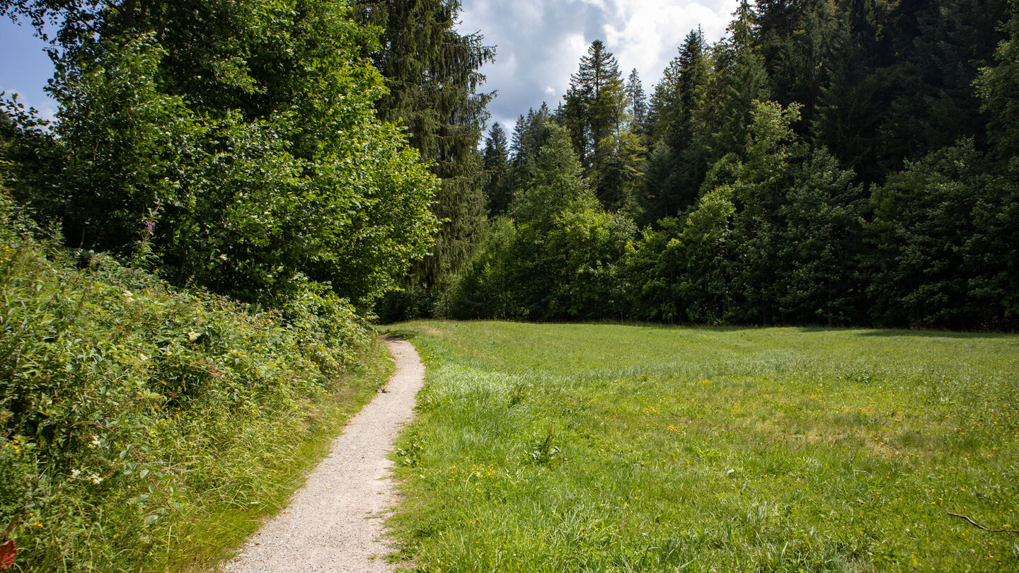 Wanderung über einen Wiesenpfad