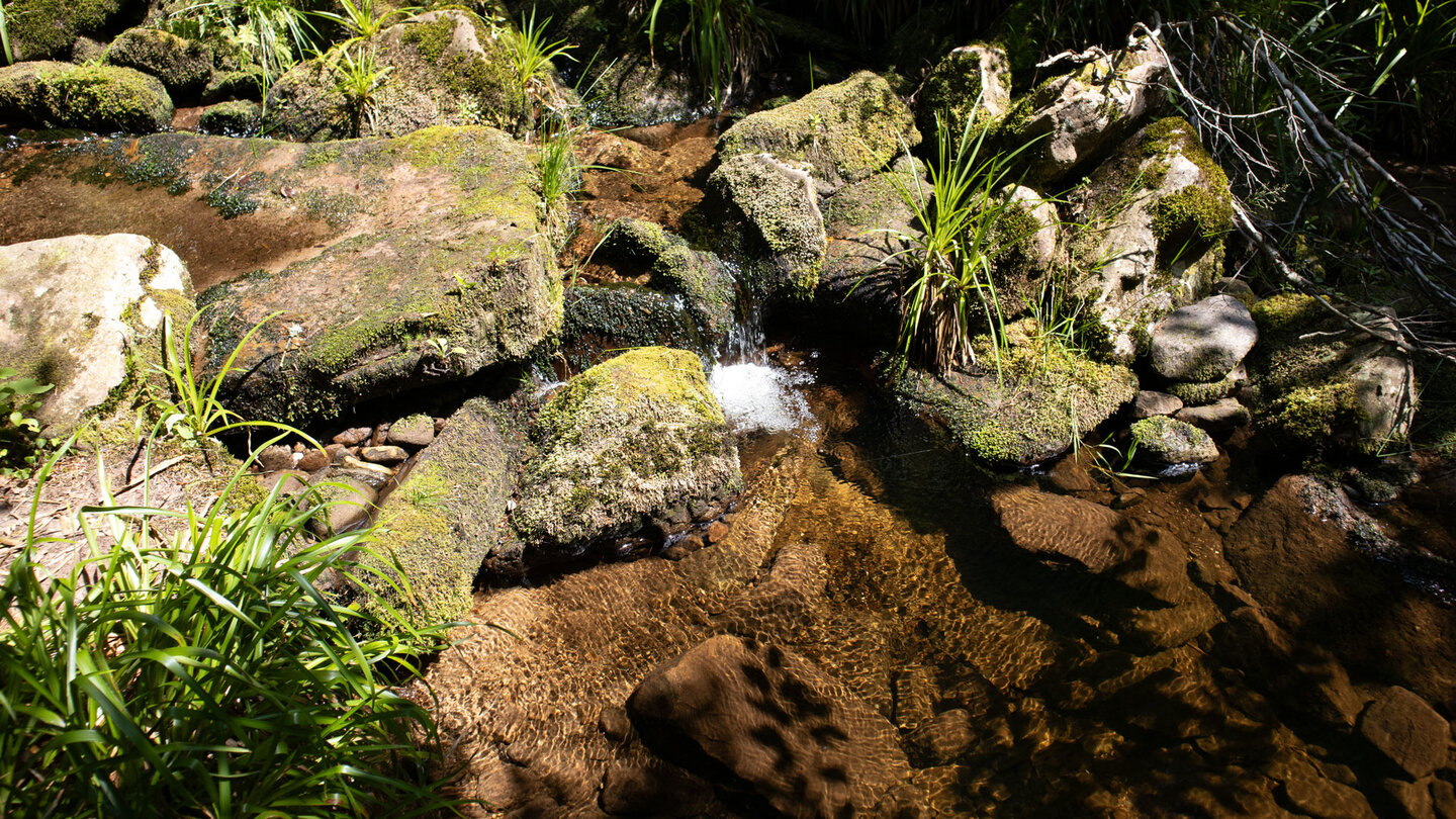 Zufluss zum Tonbach