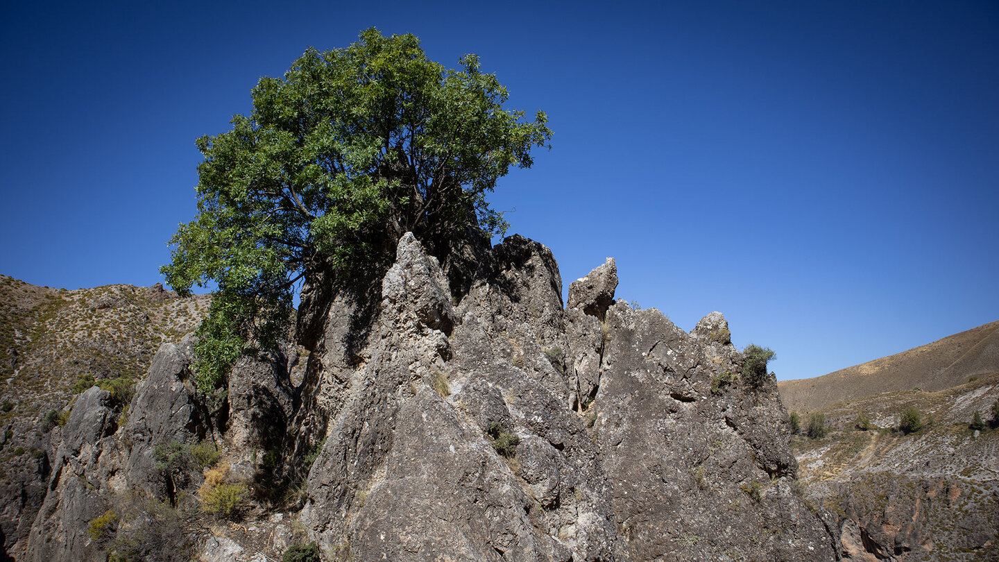 imposante Felsen am Camino de la Solana