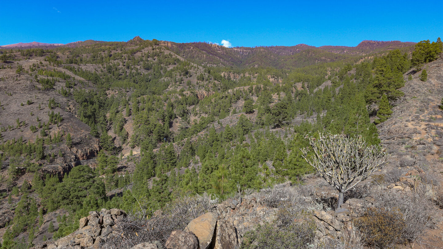 Ausblick auf die Corona Forestal entlang der Wanderung