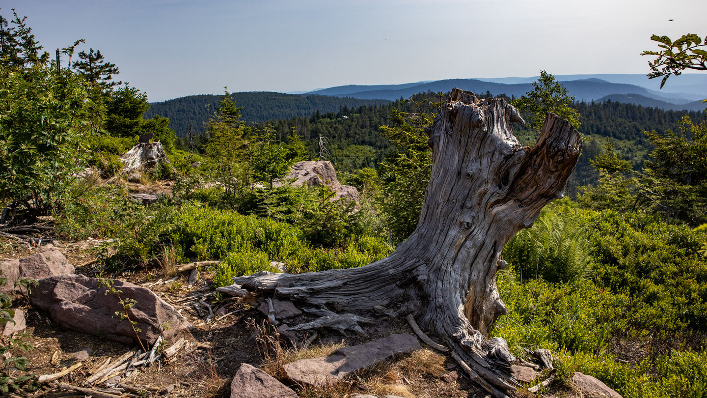 Aussichtspunkt am Wanderweg zum Dreifürstenstein