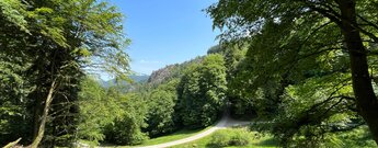 die Lautenfelsen vom Wanderweg an den Heilwiesen