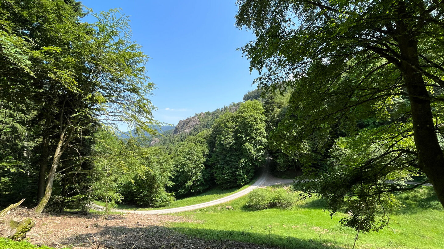 die Lautenfelsen vom Wanderweg an den Heilwiesen