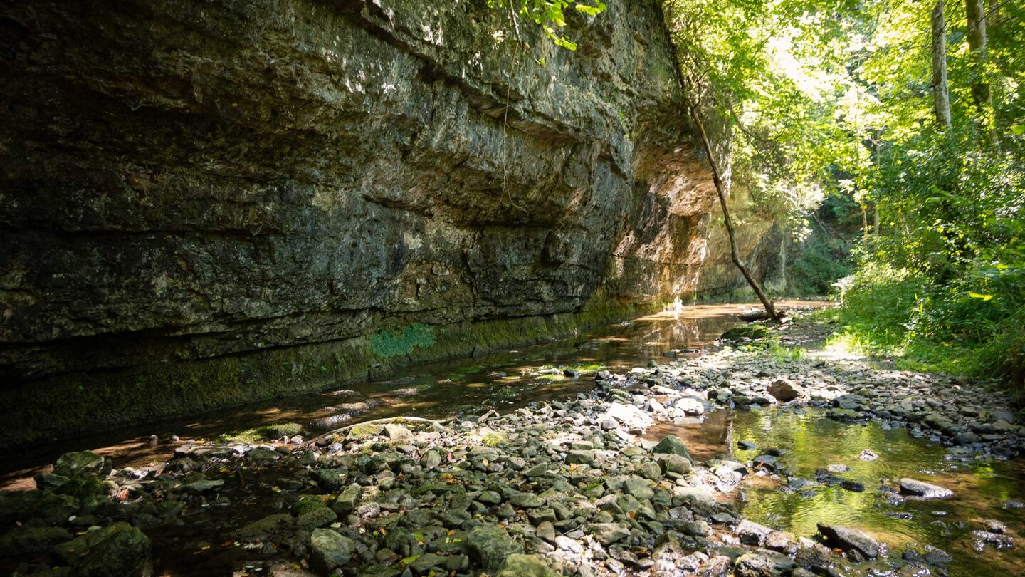 Muschelkalkwände in der Gauchachschlucht nahe der Lochmühle