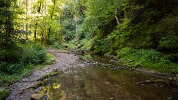 der Gauchachrundweg verläuft am Bachlauf der Gauchach