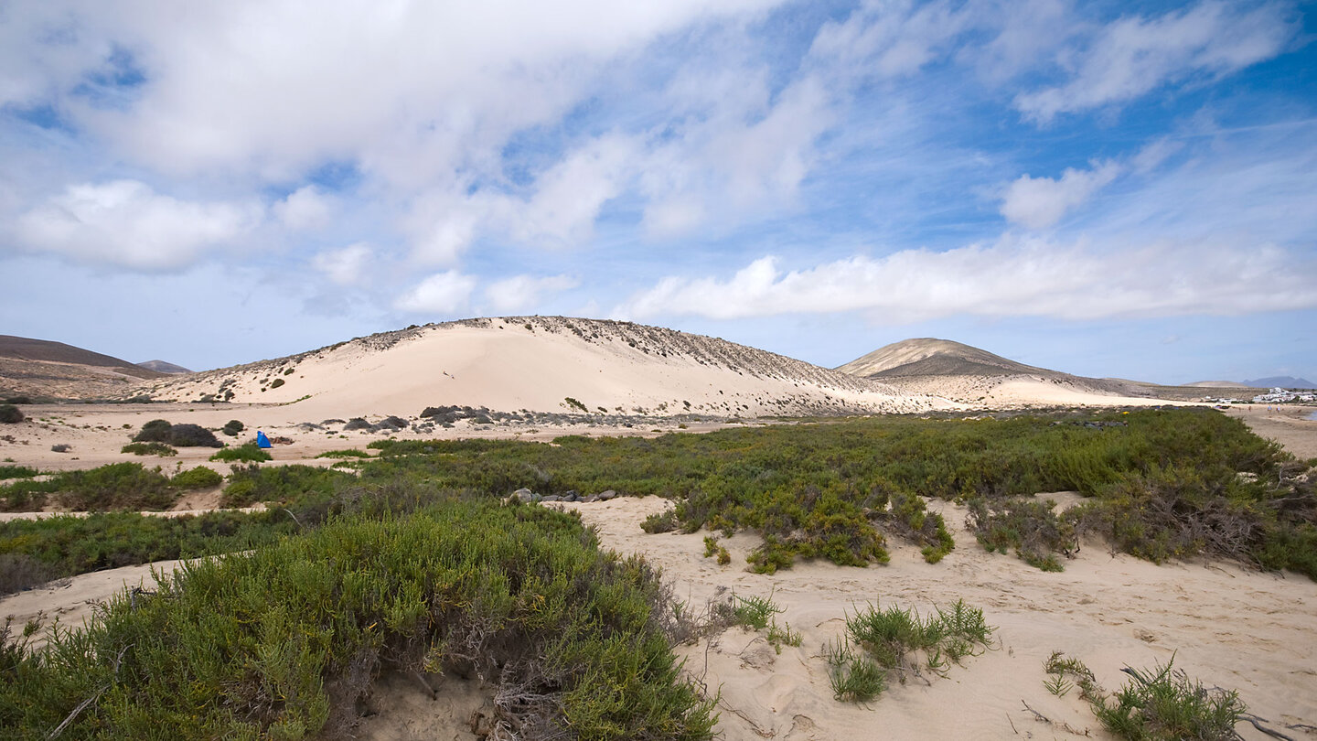 meterhohe Dünen am südlichen Abschnitt der Playa de Sotavento auf Fuerteventura