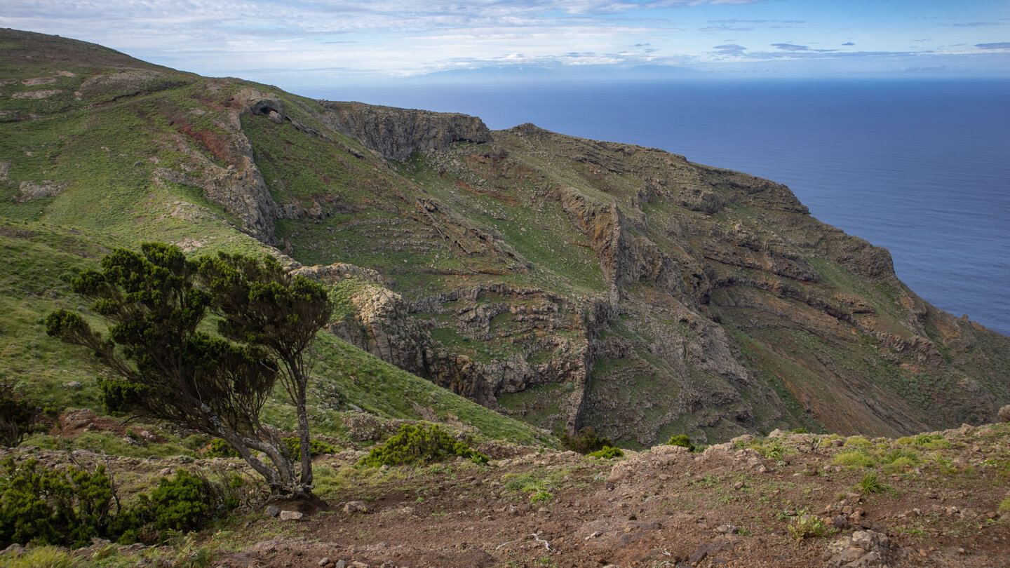 Blick über die Schlucht Barranco Hoya los Palos