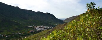 Blick über den Barranco de Mogán auf Gran Canaria