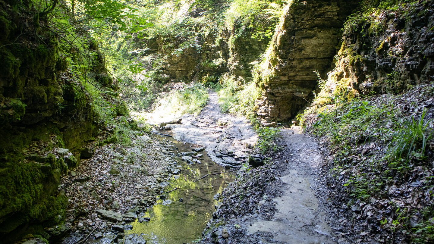 Felsformationen in der Engeschlucht des Tränkebachs