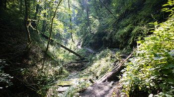 Wanderpfad durch die Engeschlucht des Tränkebachs