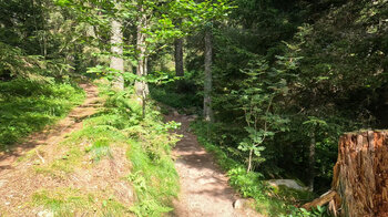 Wanderweg Auberge du Tanet zum Lac Vert