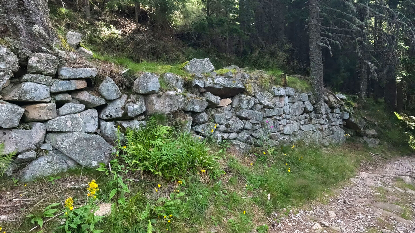 Aufstiegsweg Munster - GR 5 nach Dreieck Le Valtin im Foret du Lybruck