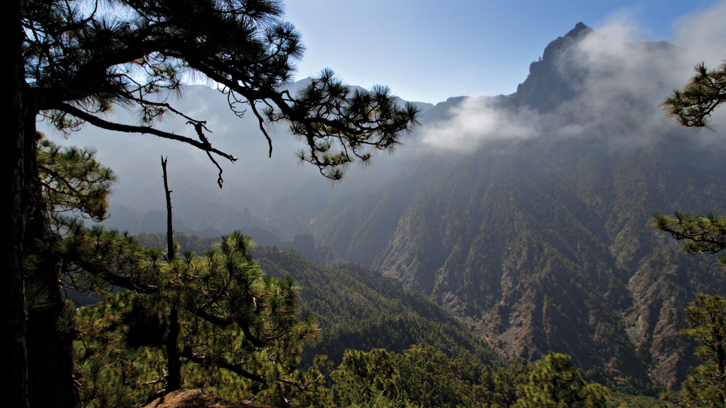 Ausblick vom Mirador de Los Brecitos in die Caldera de Taburiente auf La Palma